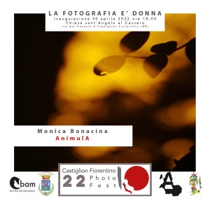 animula-locandina-mb