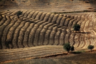 InterSpazio undici