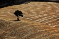 InterSpazio sette