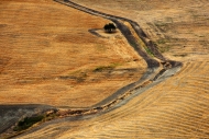 InterSpazio sei