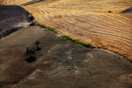 InterSpazio cinque