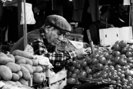 palermo dritta al cuore 15