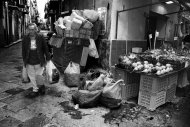 palermo dritta al cuore 21