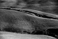 verso