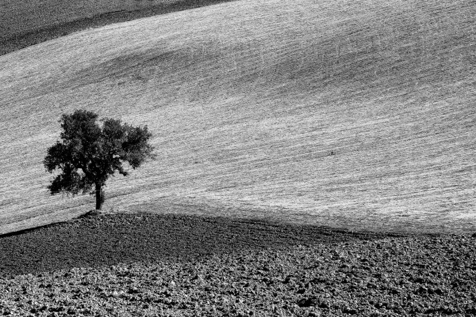 la solitudine dei numeri primi